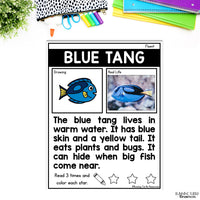 Ocean Unit Kindergarten, Ocean Animal Research Project