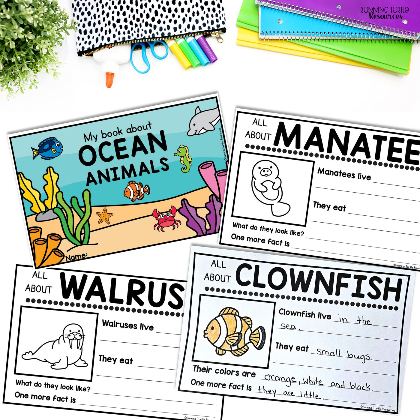 Ocean Unit Kindergarten, Ocean Animal Research Project