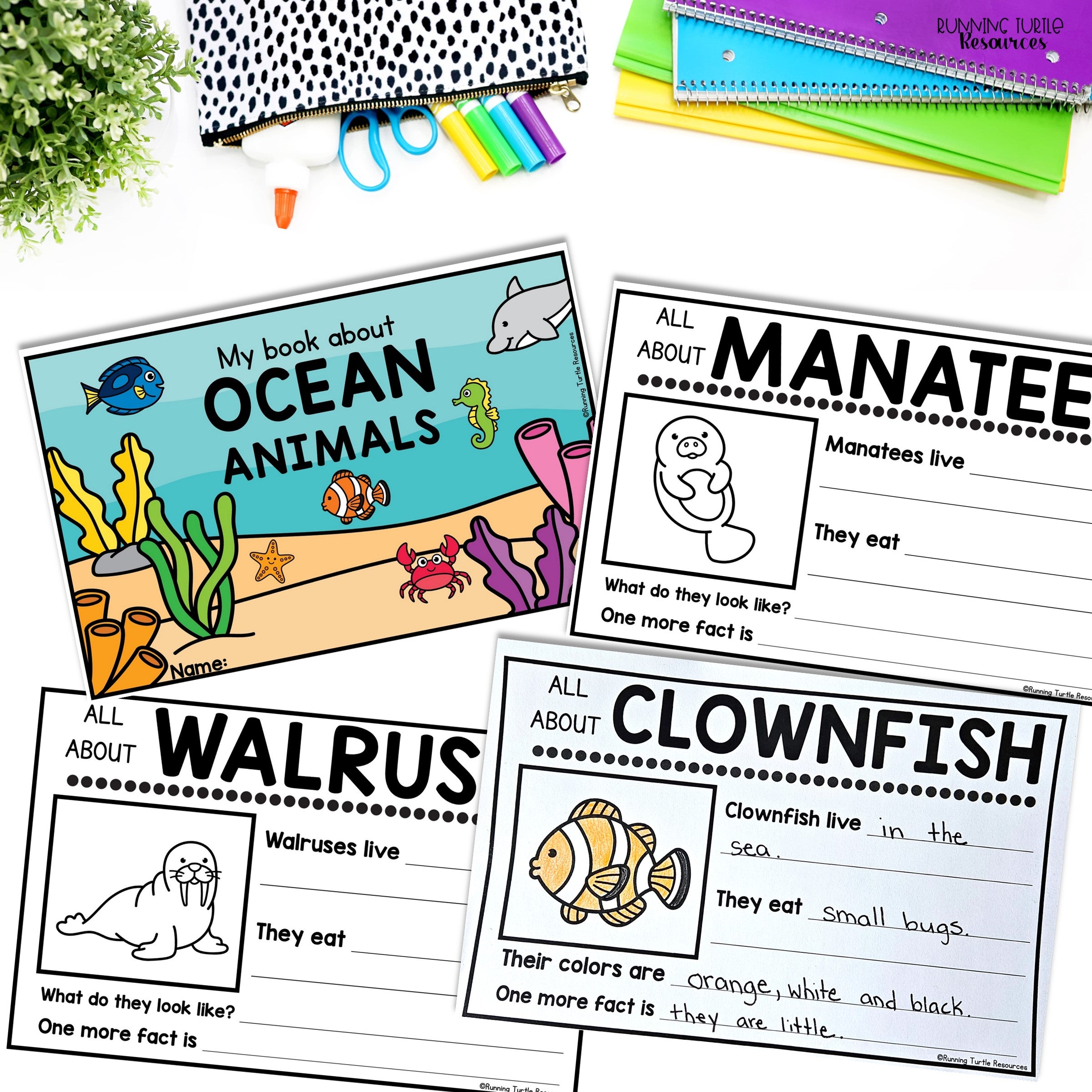 Ocean Unit Kindergarten, Ocean Animal Research Project