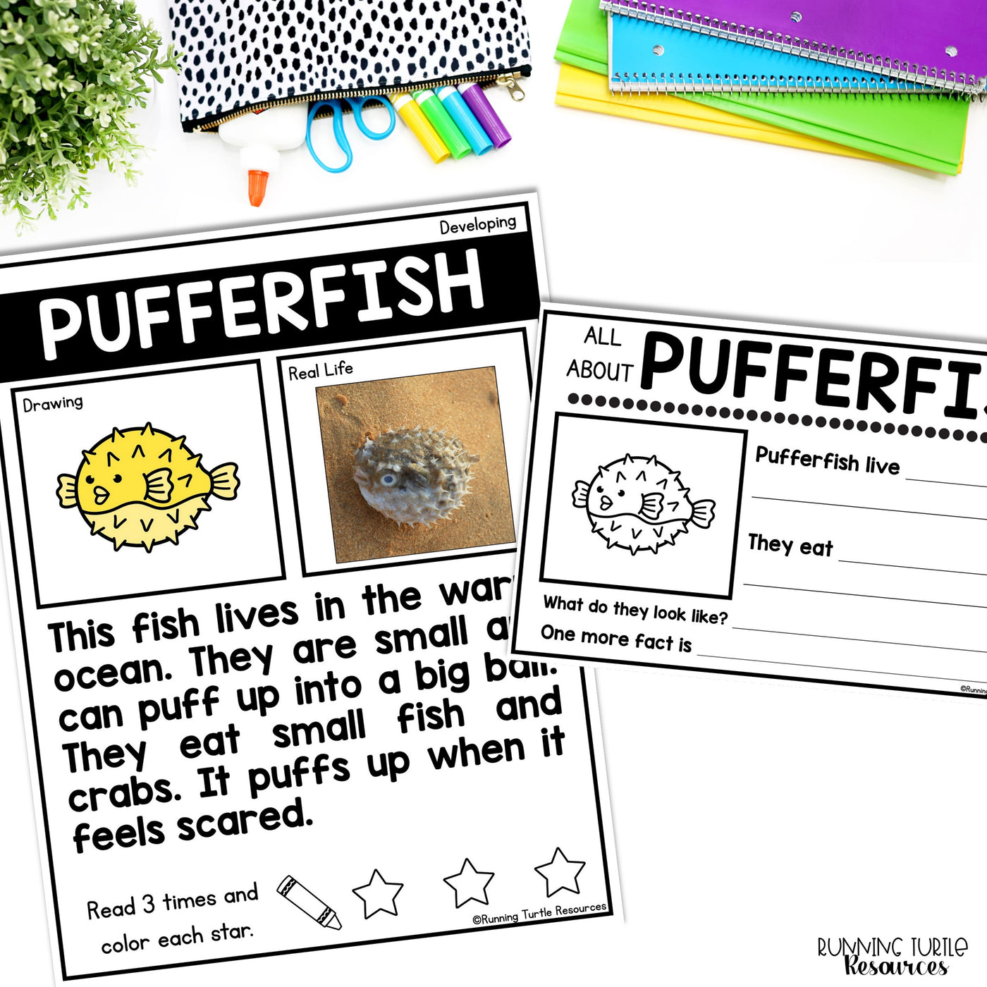 Ocean Unit Kindergarten, Ocean Animal Research Project