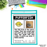 Ocean Unit Kindergarten, Ocean Animal Research Project
