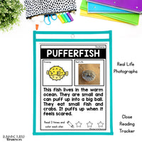 Ocean Unit Kindergarten, Ocean Animal Research Project