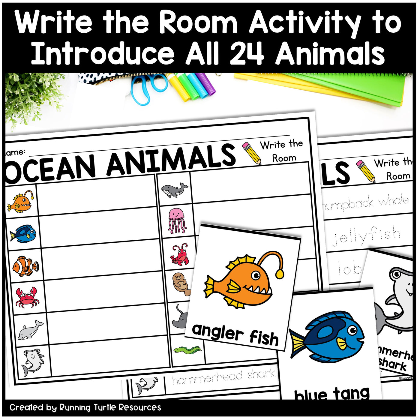 Ocean Unit Kindergarten, Ocean Animal Research Project