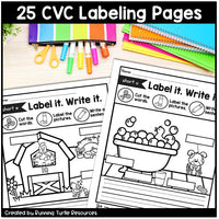 CVC Labeling Pictures, Label it! Write it!, Read and Match CVC Worksheets