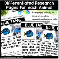 Ocean Unit Kindergarten, Ocean Animal Research Project