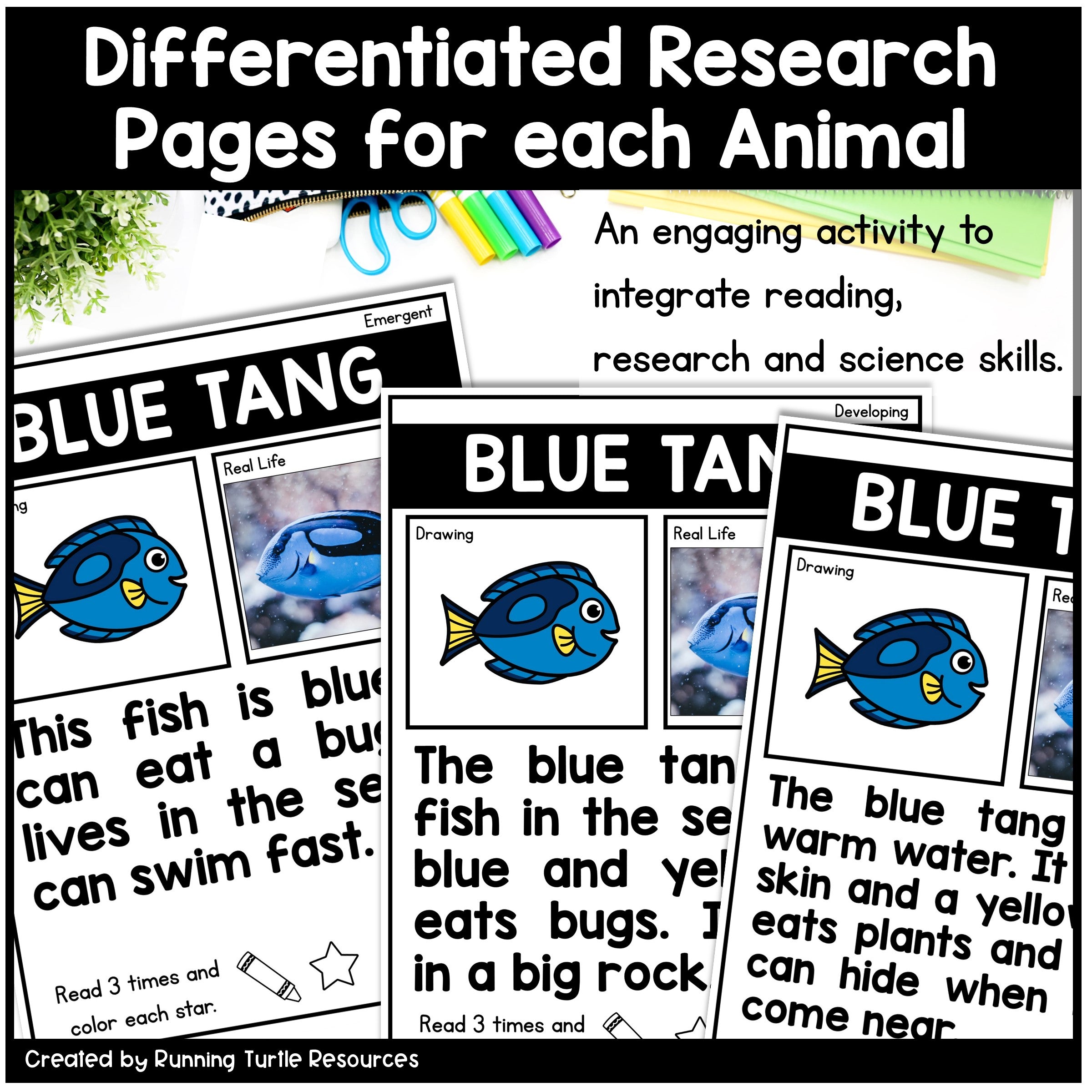 Ocean Unit Kindergarten, Ocean Animal Research Project