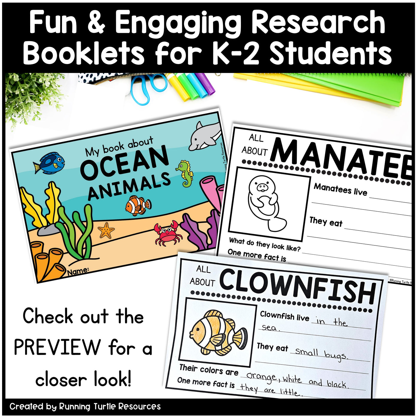 Ocean Unit Kindergarten, Ocean Animal Research Project