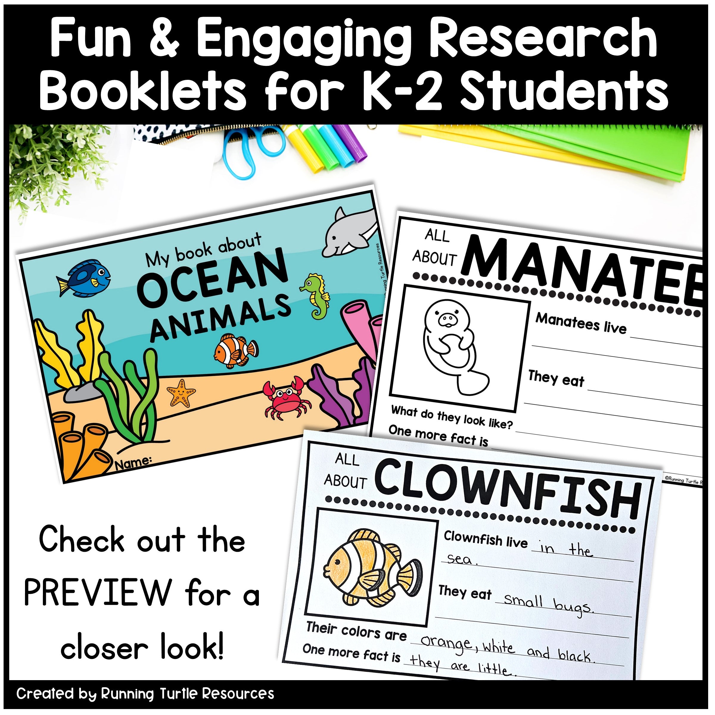 Ocean Unit Kindergarten, Ocean Animal Research Project