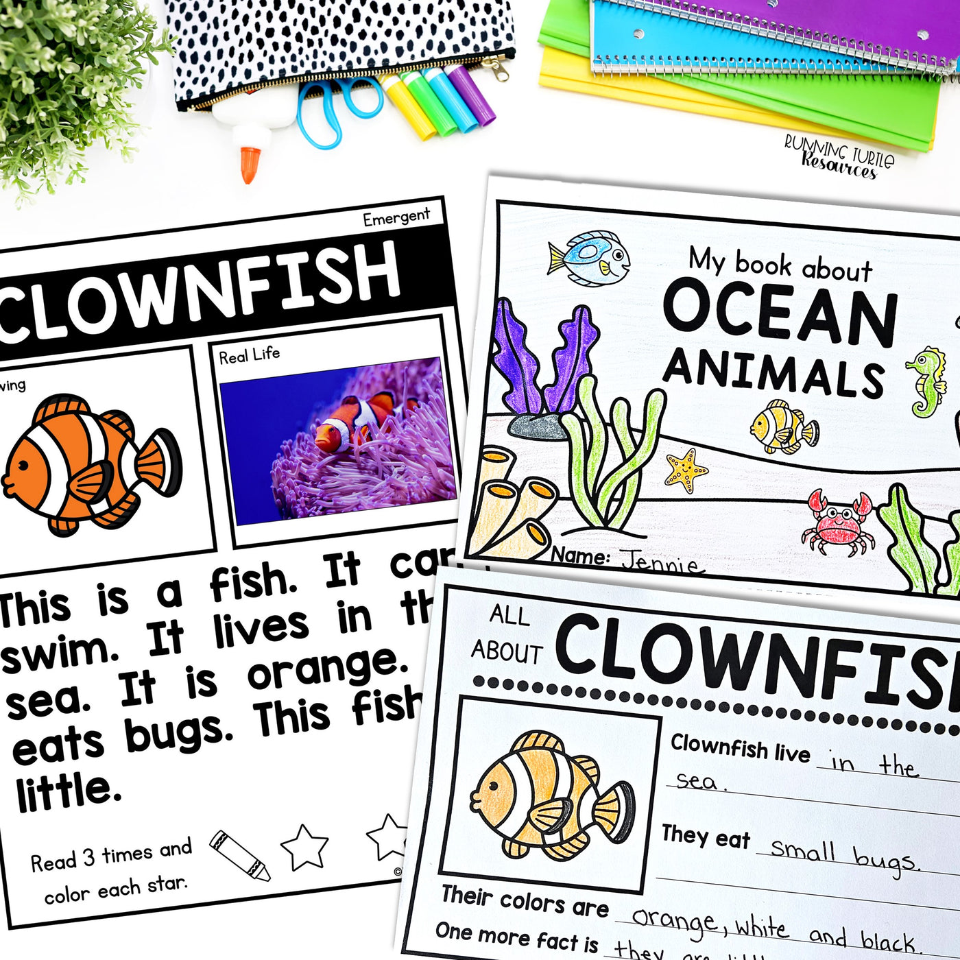 Ocean Unit Kindergarten, Ocean Animal Research Project