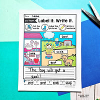 Vowel Team Labeling Worksheets