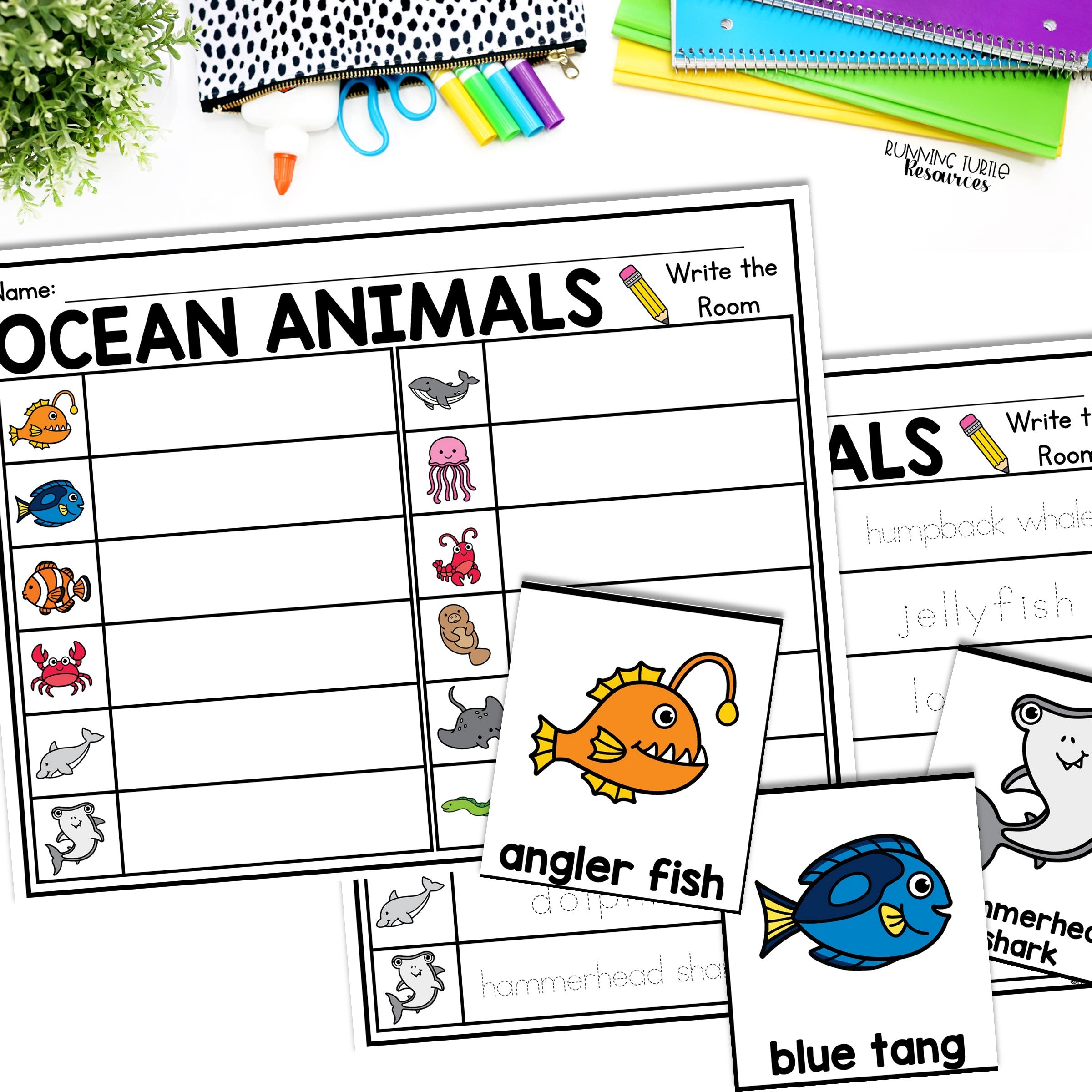 Ocean Unit Kindergarten, Ocean Animal Research Project