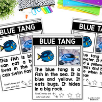 Ocean Unit Kindergarten, Ocean Animal Research Project