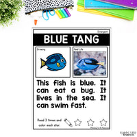 Ocean Unit Kindergarten, Ocean Animal Research Project