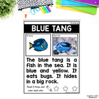 Ocean Unit Kindergarten, Ocean Animal Research Project